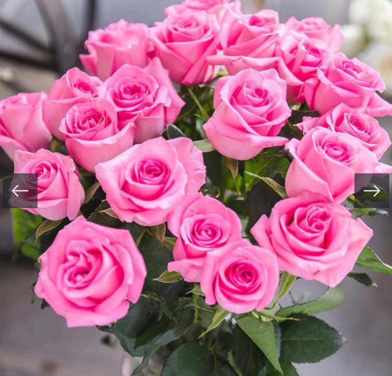 بذور ورد جوري زهري - الصورة 2