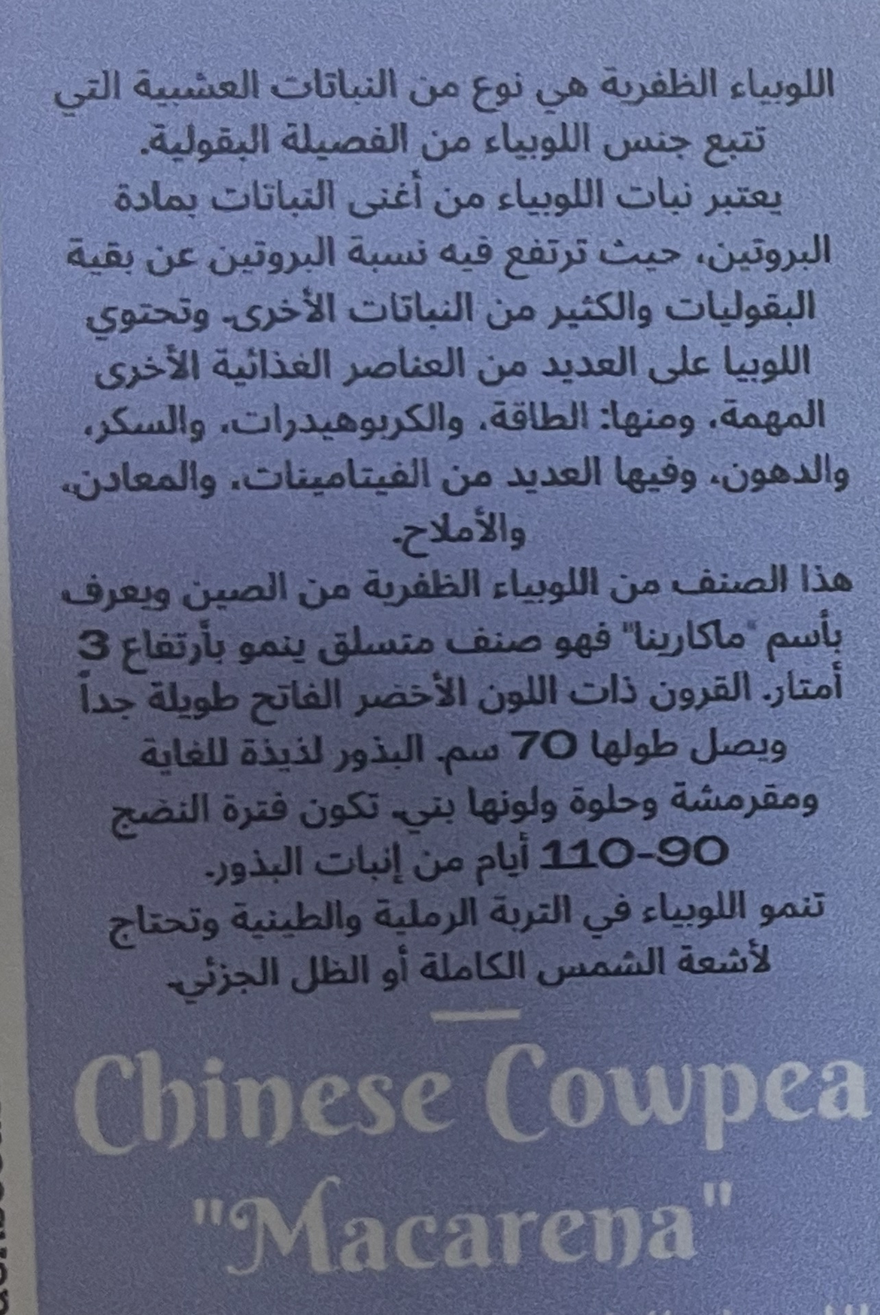 بذور اللوبياء الظفرية ماكارينا و - الصورة 2