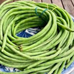 بذور اللوبياء الظفرية ماكارينا و