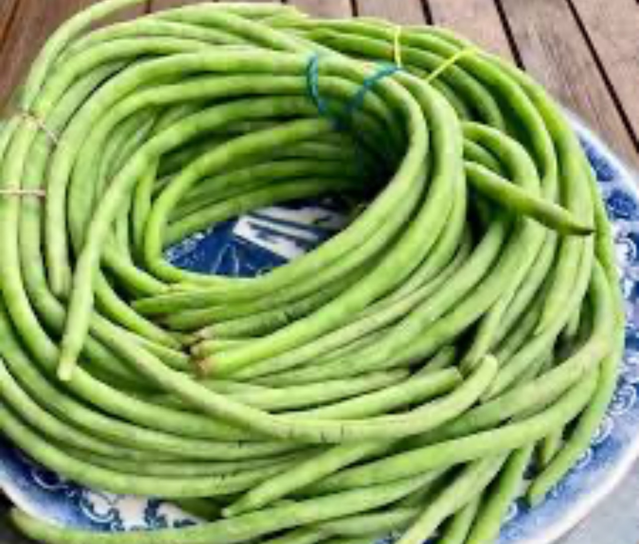 بذور اللوبياء الظفرية ماكارينا و