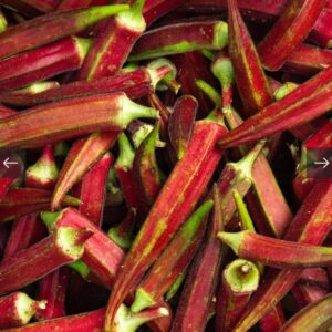 البامية الحمراء