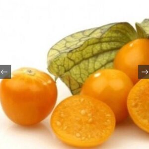 بذور فاكهة الحرنكش التوت الذهبي