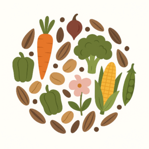 بذور الخضروات