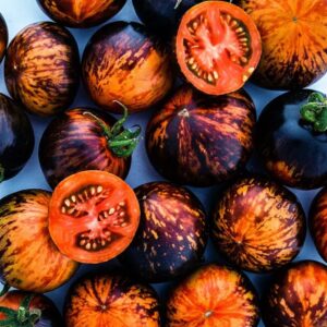 طماطم ملكة الليل (10 بذرات)