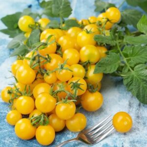 الطماطم الكرزية (الصفراء)
