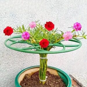 حامل الفراولة والزهور