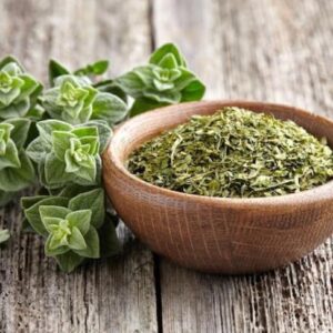 بذور زعتر اردني