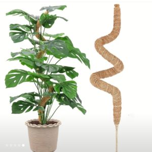 دعامات للنباتات الداخلية قابلة للثني