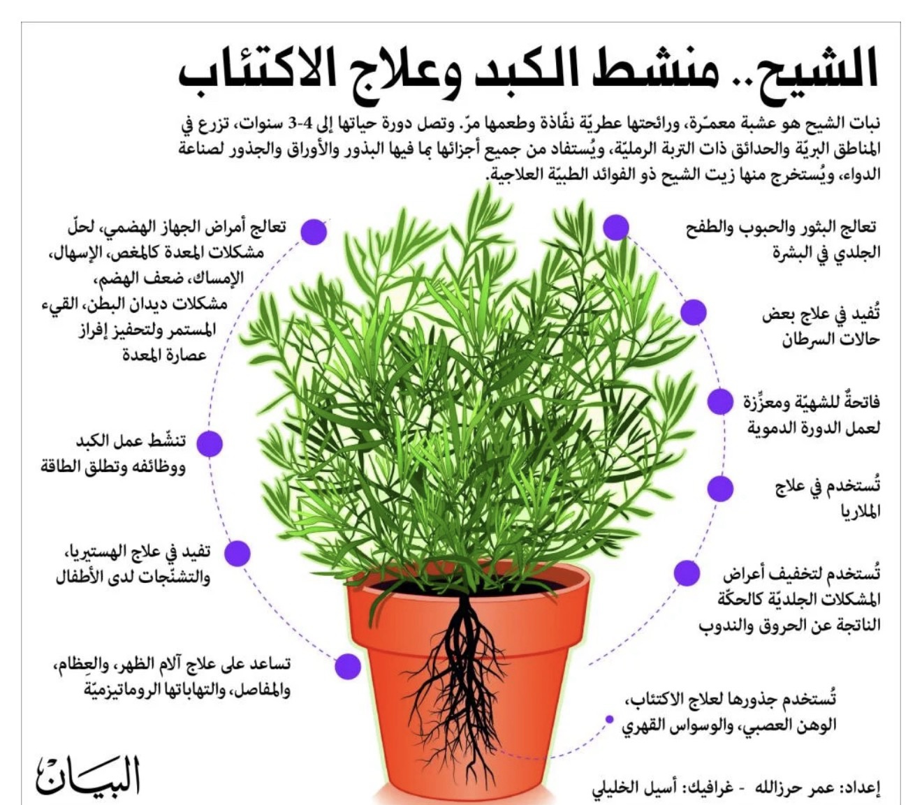 الشيح - الصورة 2