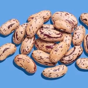 فاصوليا بينتو المرقطة