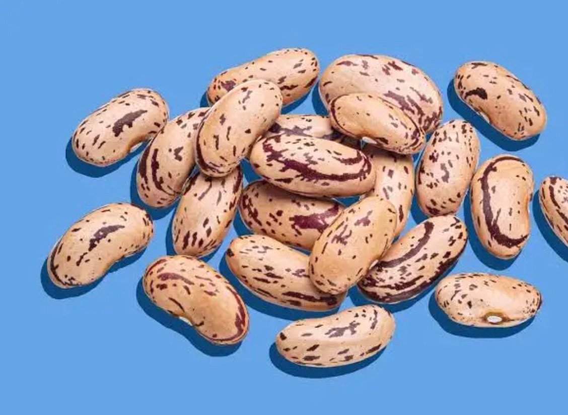 فاصوليا بينتو المرقطة