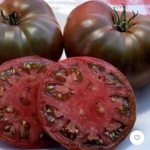 بذور الطماطم شيروكي