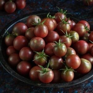 بذور طماطم الكرز الاسود (عضوي متوارث)