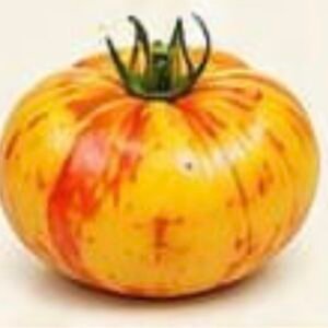 طماطم الأناناس (Hawaiian Pineapple).