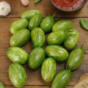 طماطم صلصة ماري